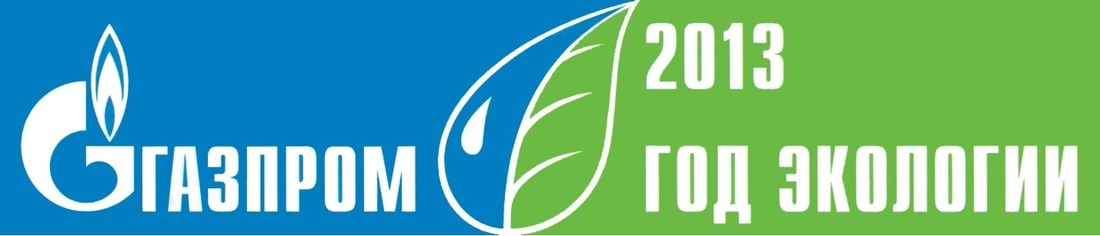 Официальный логотип Года экологии — 2013